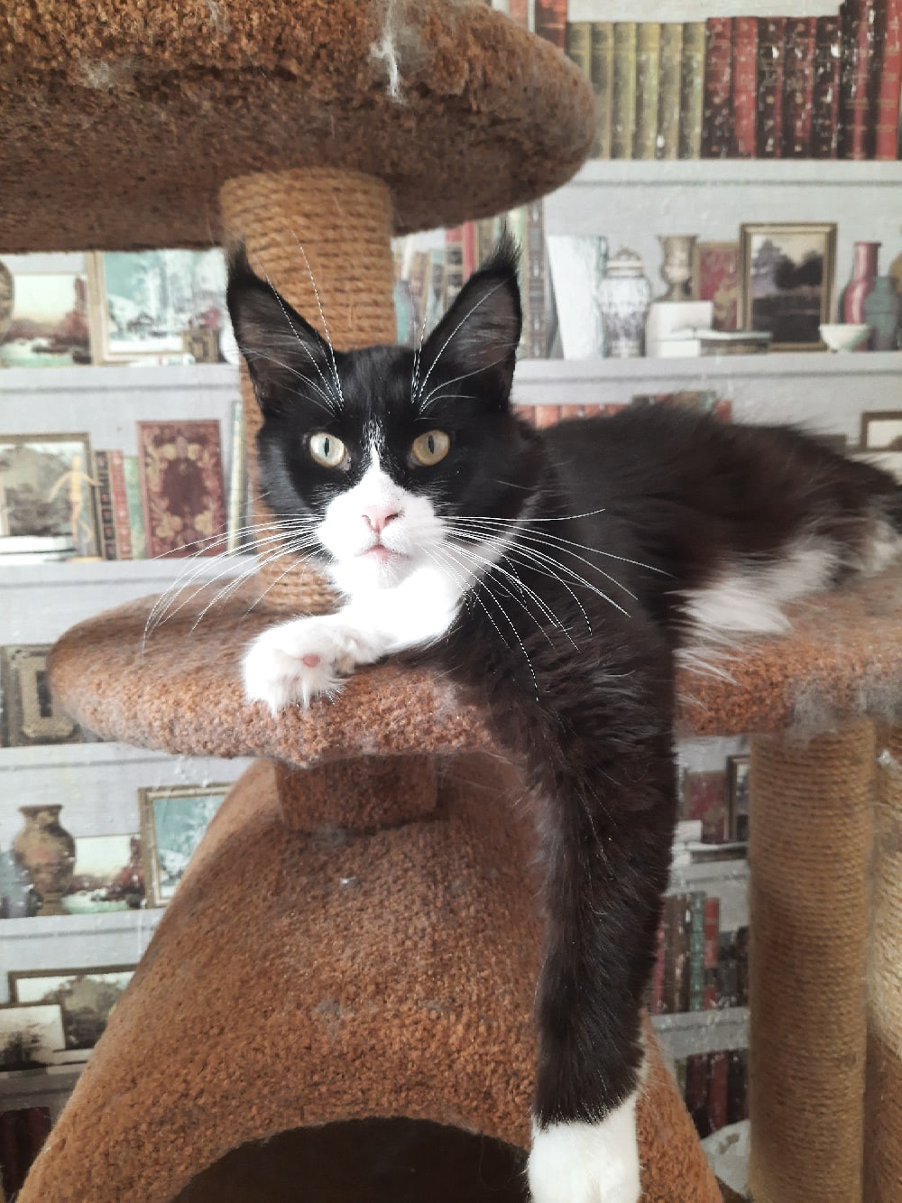 Я не понял, когда же вы убираться будете