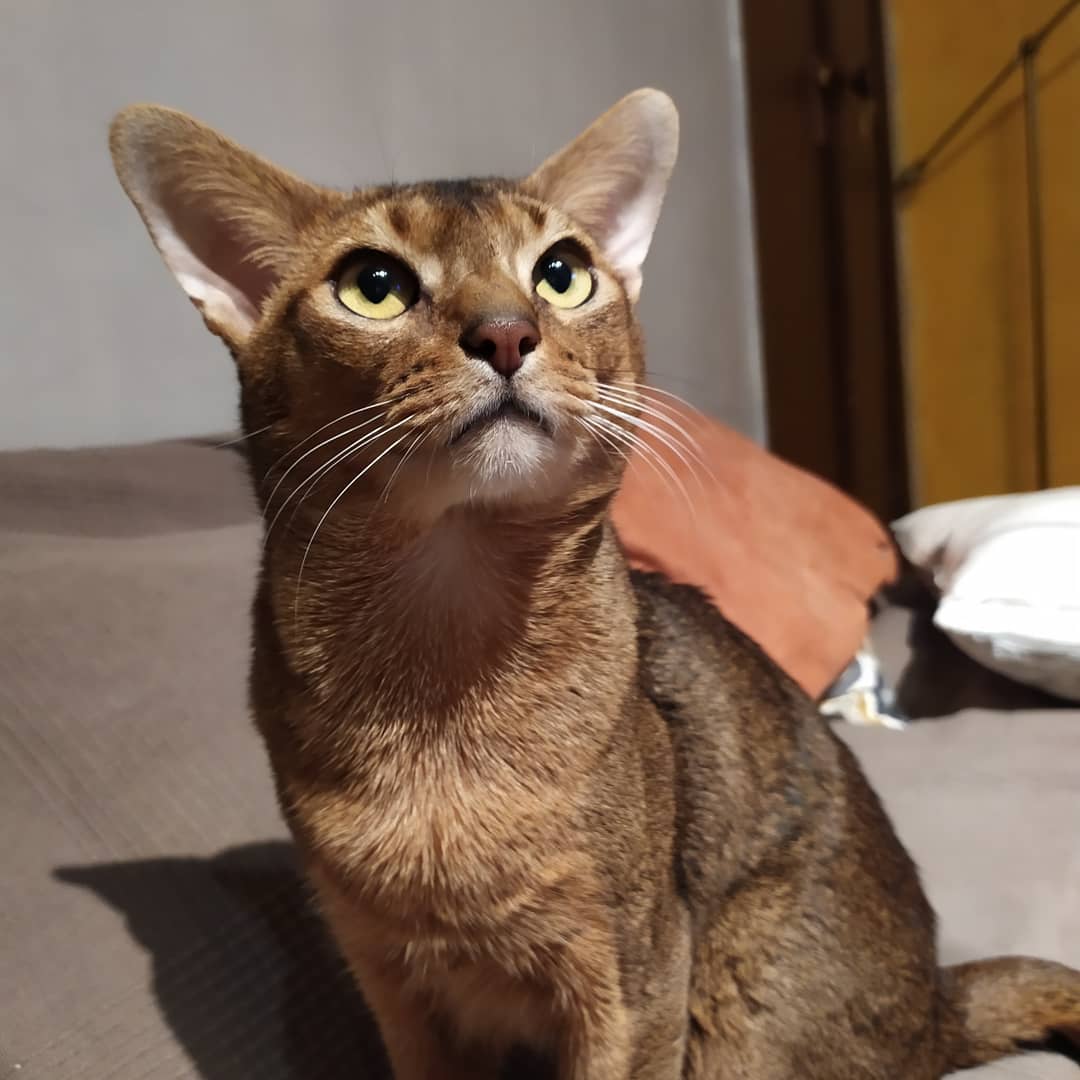 Что - то, вы сегодня рано спать собрались