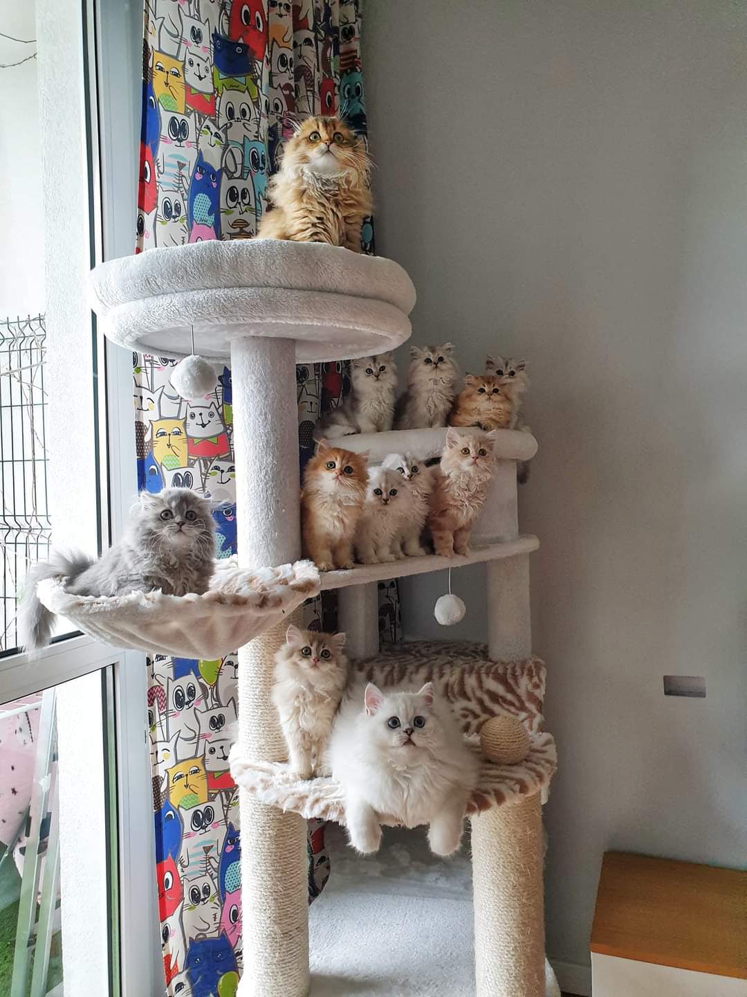 Большая семья - это счастье