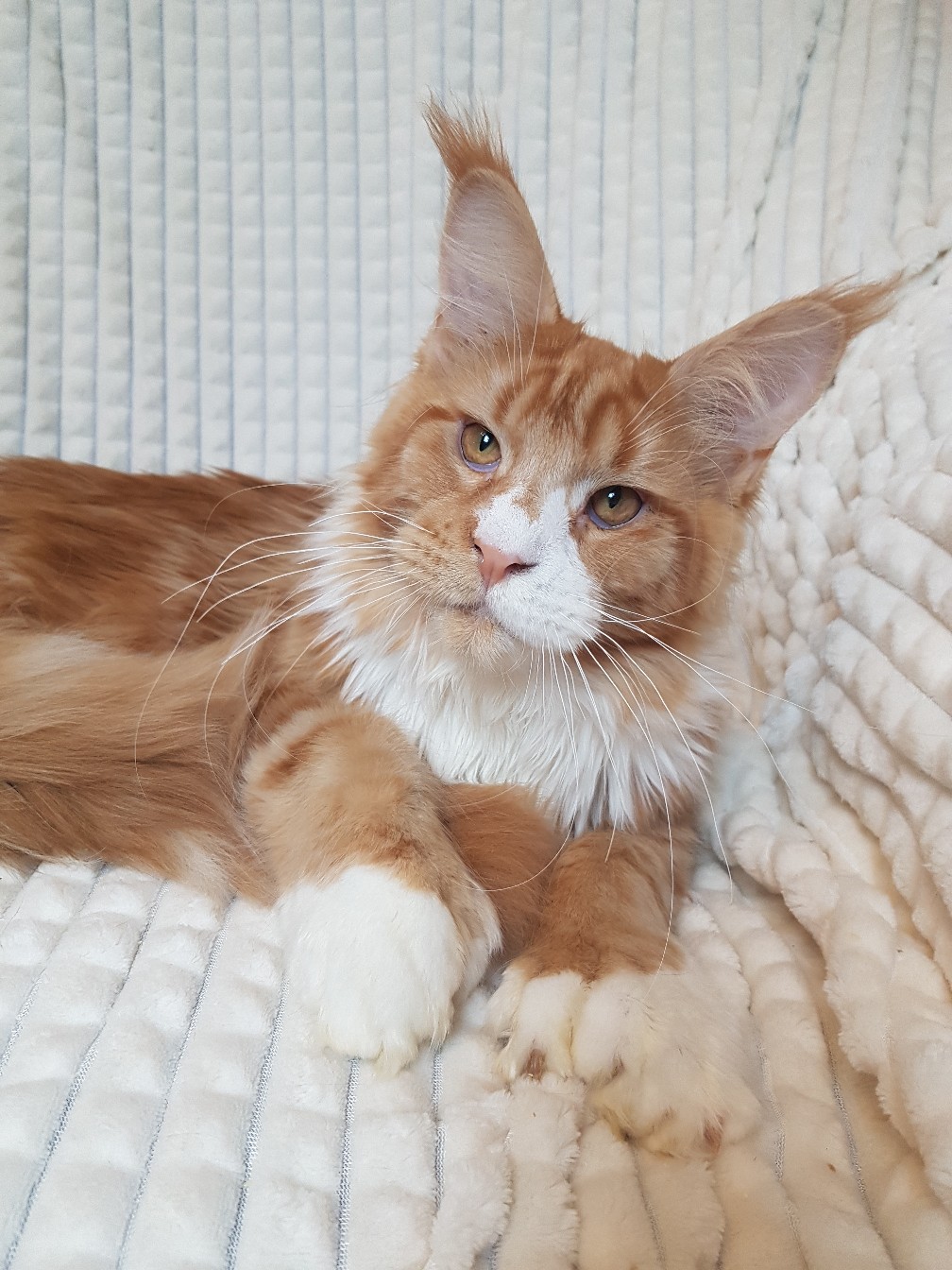 В магазине купите всё по списку, я вам нацарапал