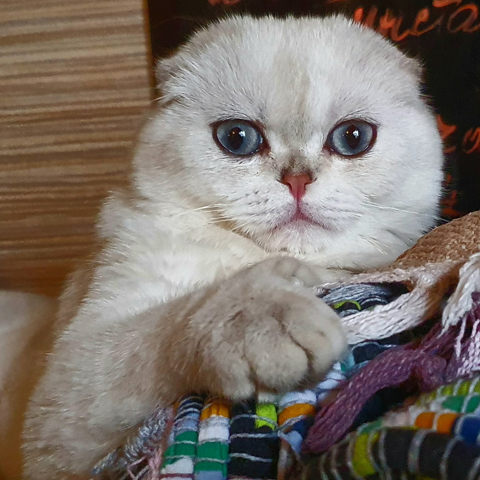 Ну, куда вы так рано, может дома посидите