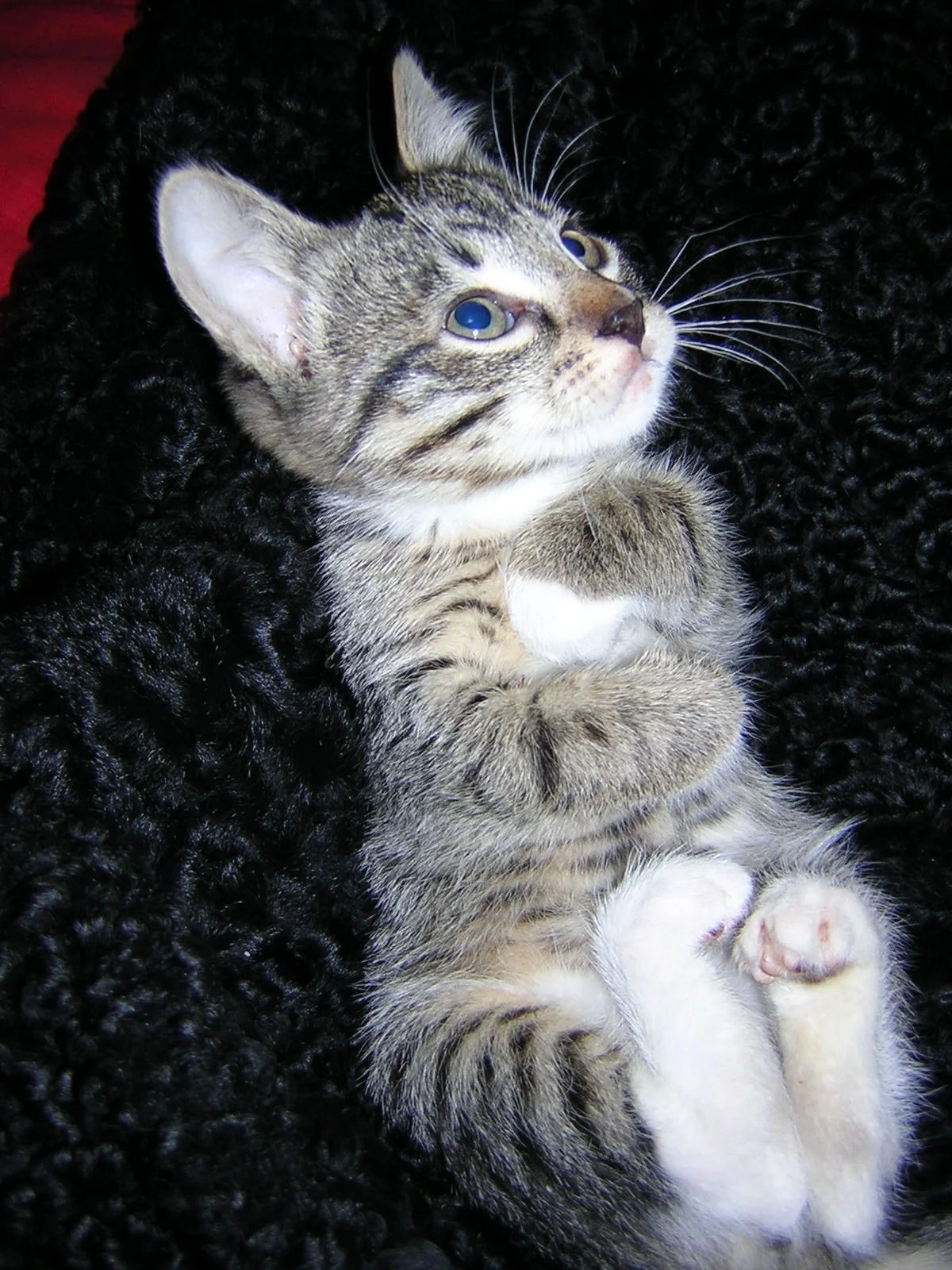 Раз, у вас нет на меня времени, обниму себя сам