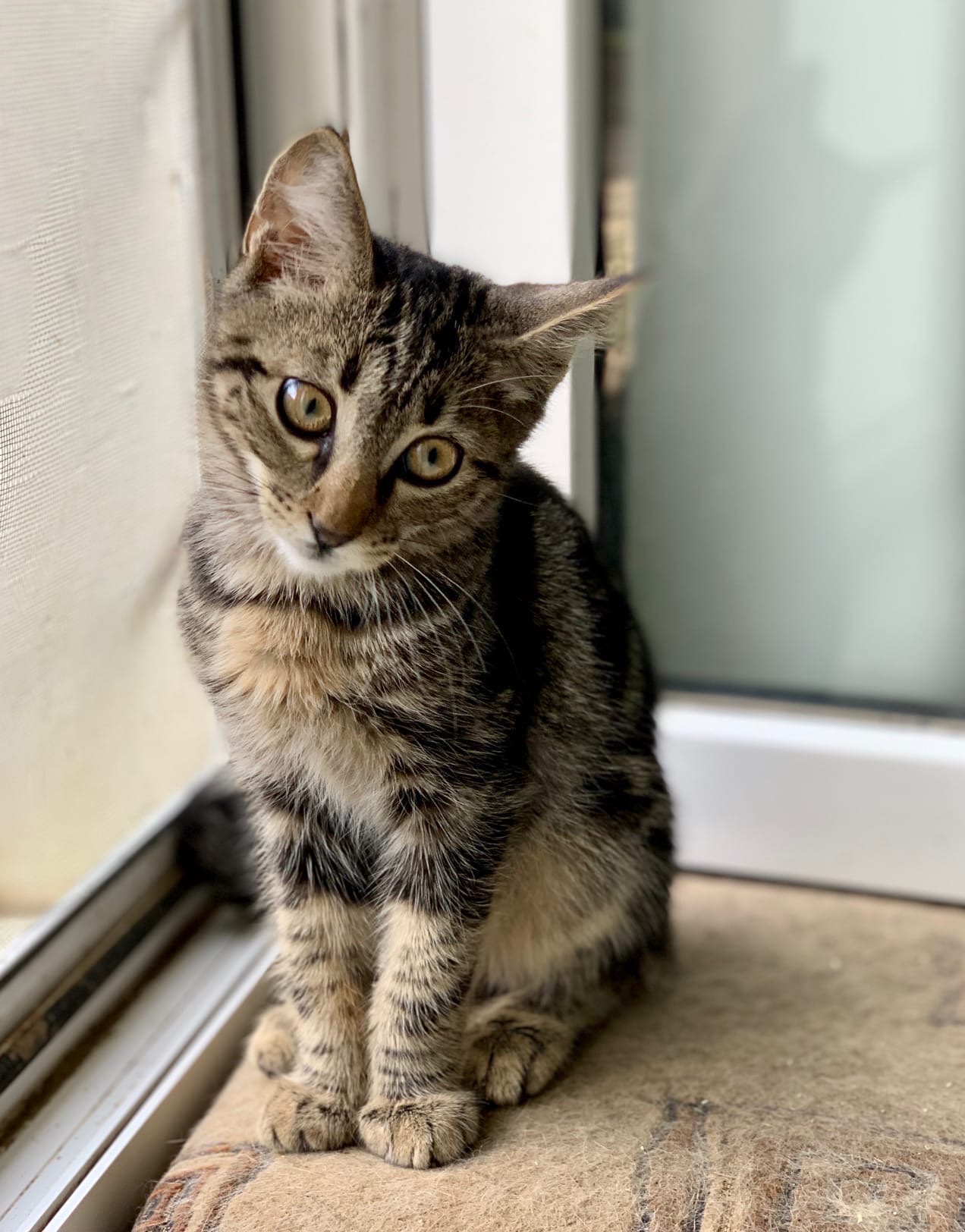 Хотел погулять, погода не очень