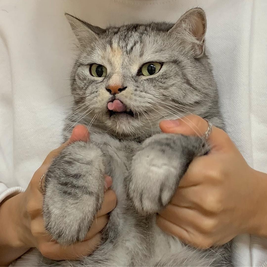 Сильно не давите, я только - что покушала