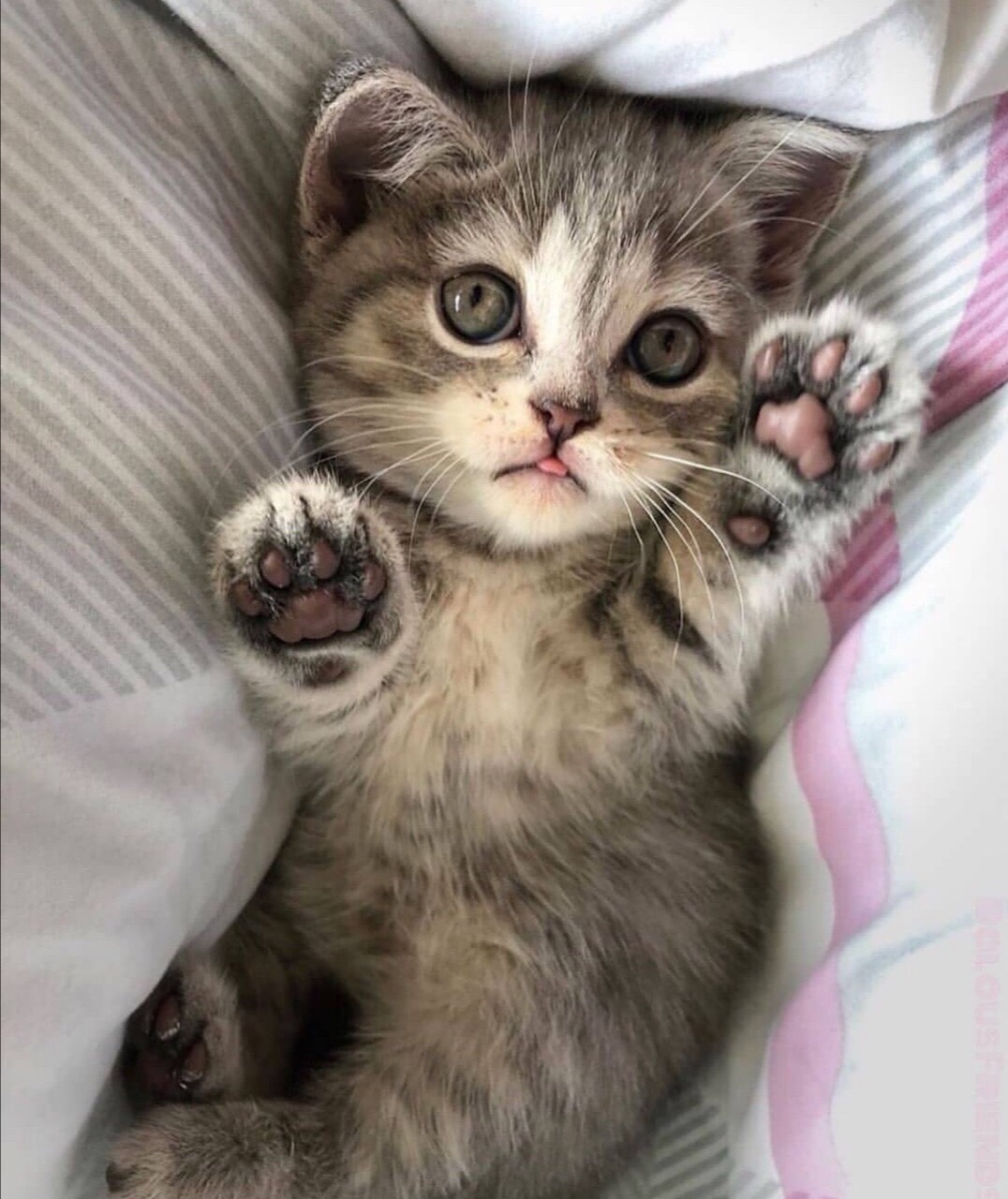 Крохотуля выспался