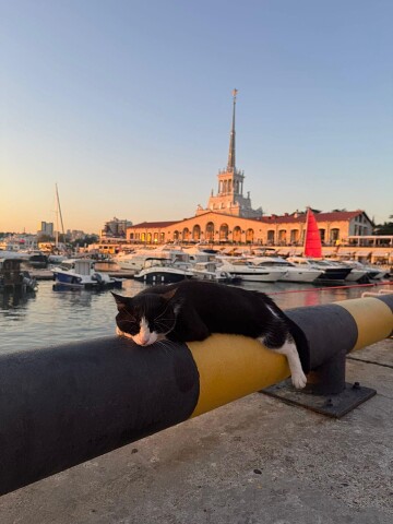 Могу до лодки проводить, могу с вами прокатиться