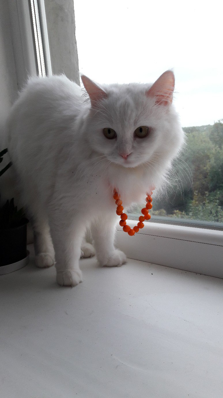 Пустите меня погулять, я бусики друзьям покажу