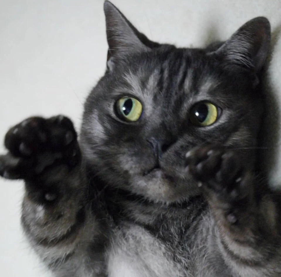 Слушайте меня и повинуйтесь