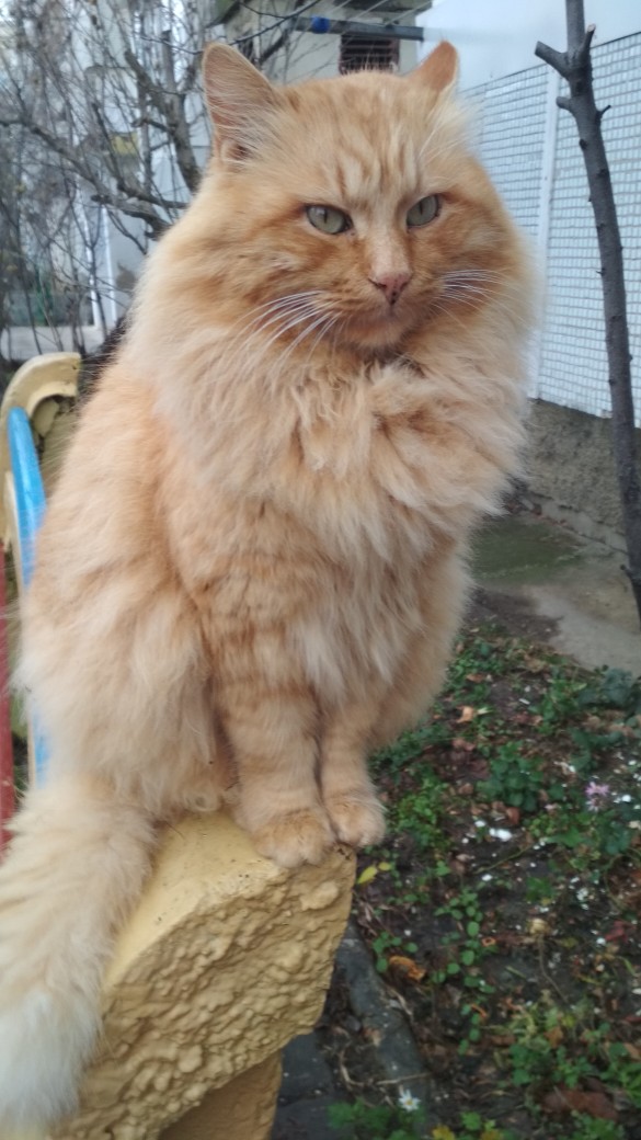 Сегодня мне не нравится гулять, холодно очень