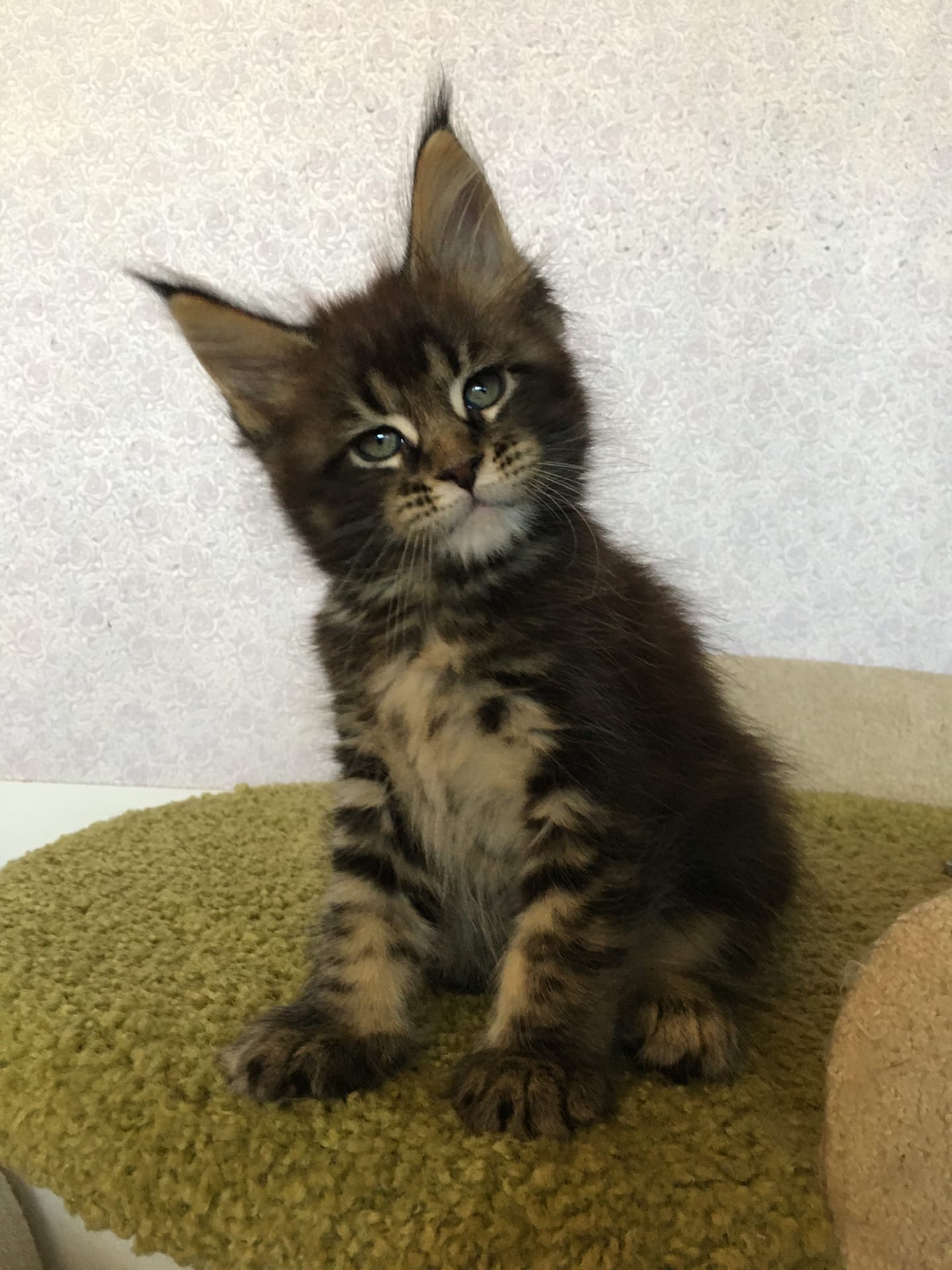 Молодёжь, куда собрались, а меня с собой не взяли