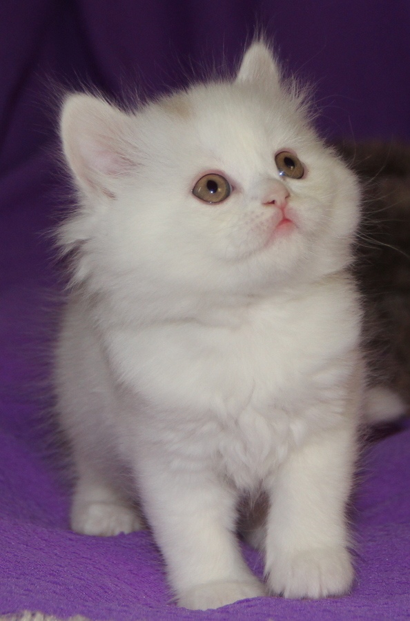 Давайте завтрак, а то играть не терпится