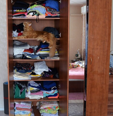 Сколько у меня добра