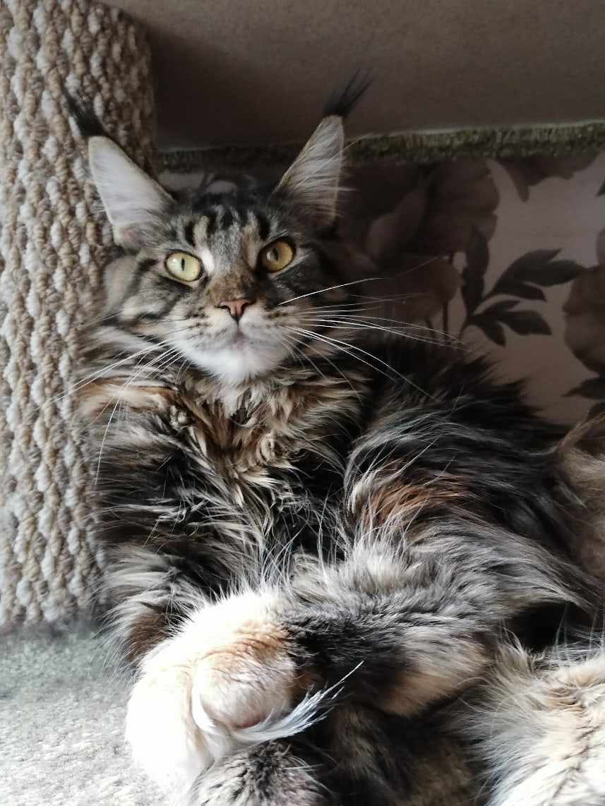 Я вот смотрю и думаю, что вам не спится