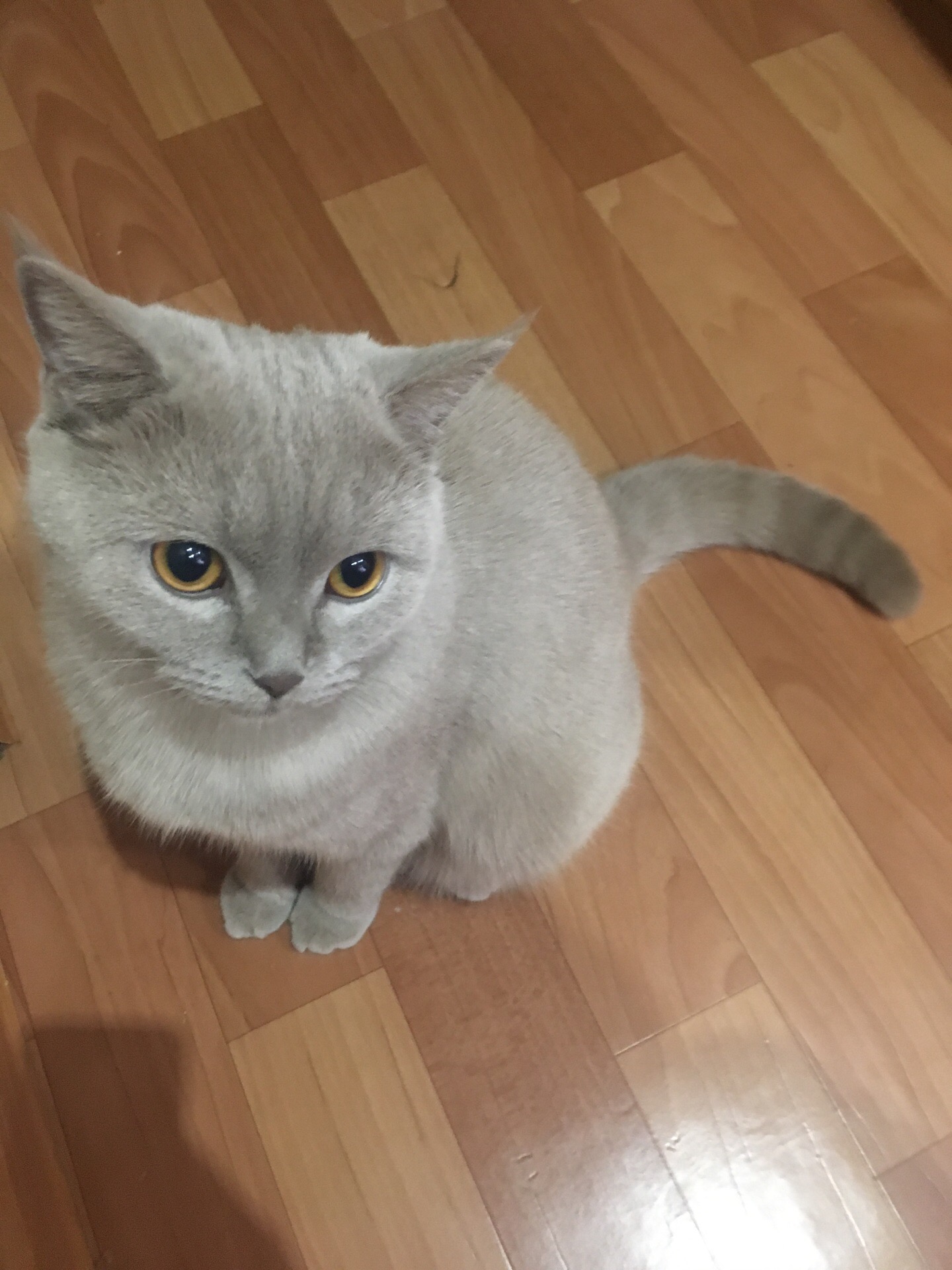 Улыбнитесь мне с утра, заразите хорошим настроением