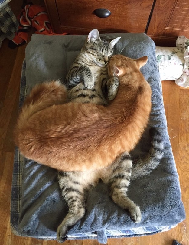 Спи, не обращай на меня внимание