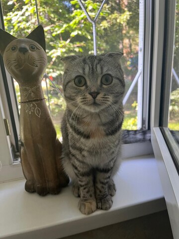 Мам, можно я с подружкой гулять пойду