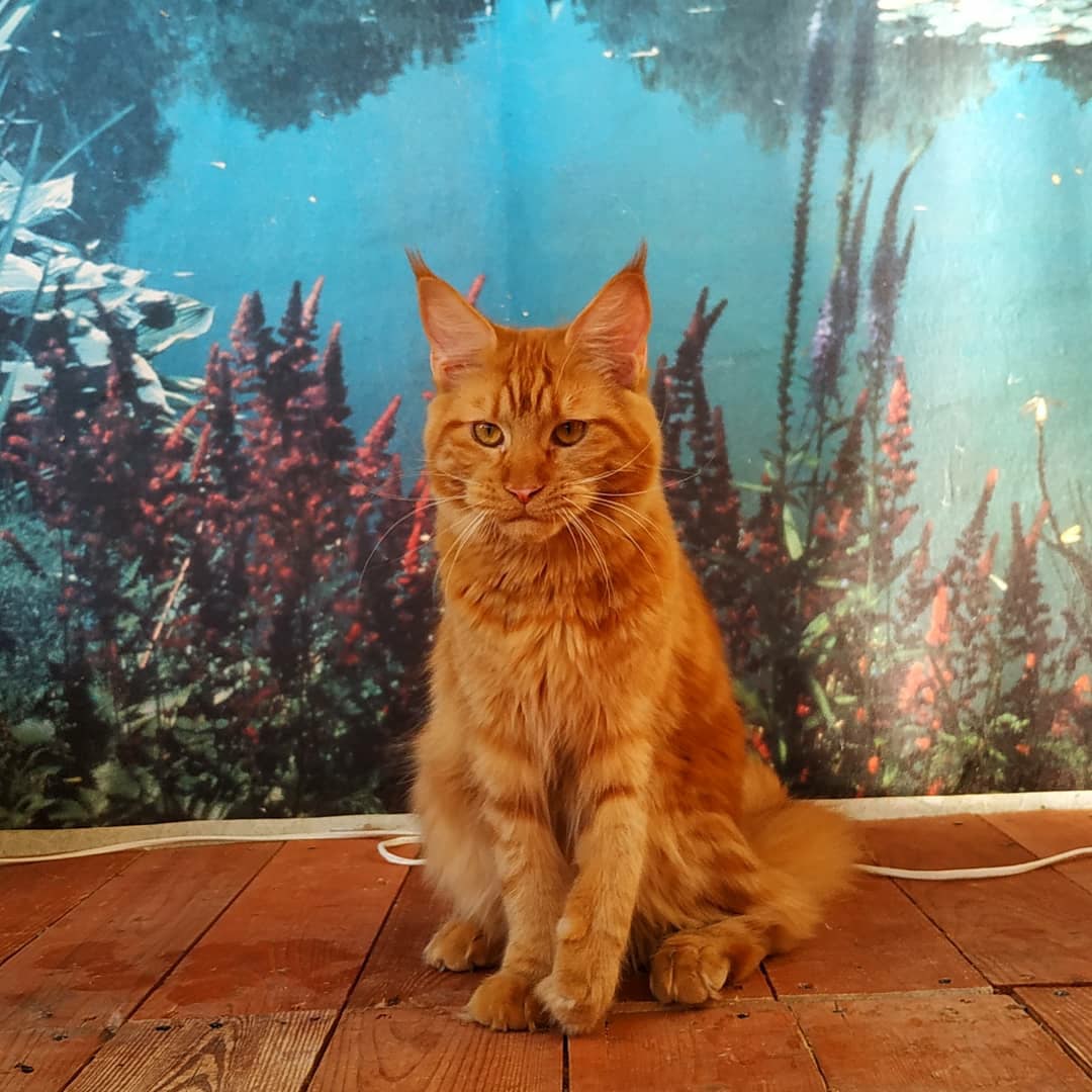 Может съездим на рыбалку, я давно мечтаю