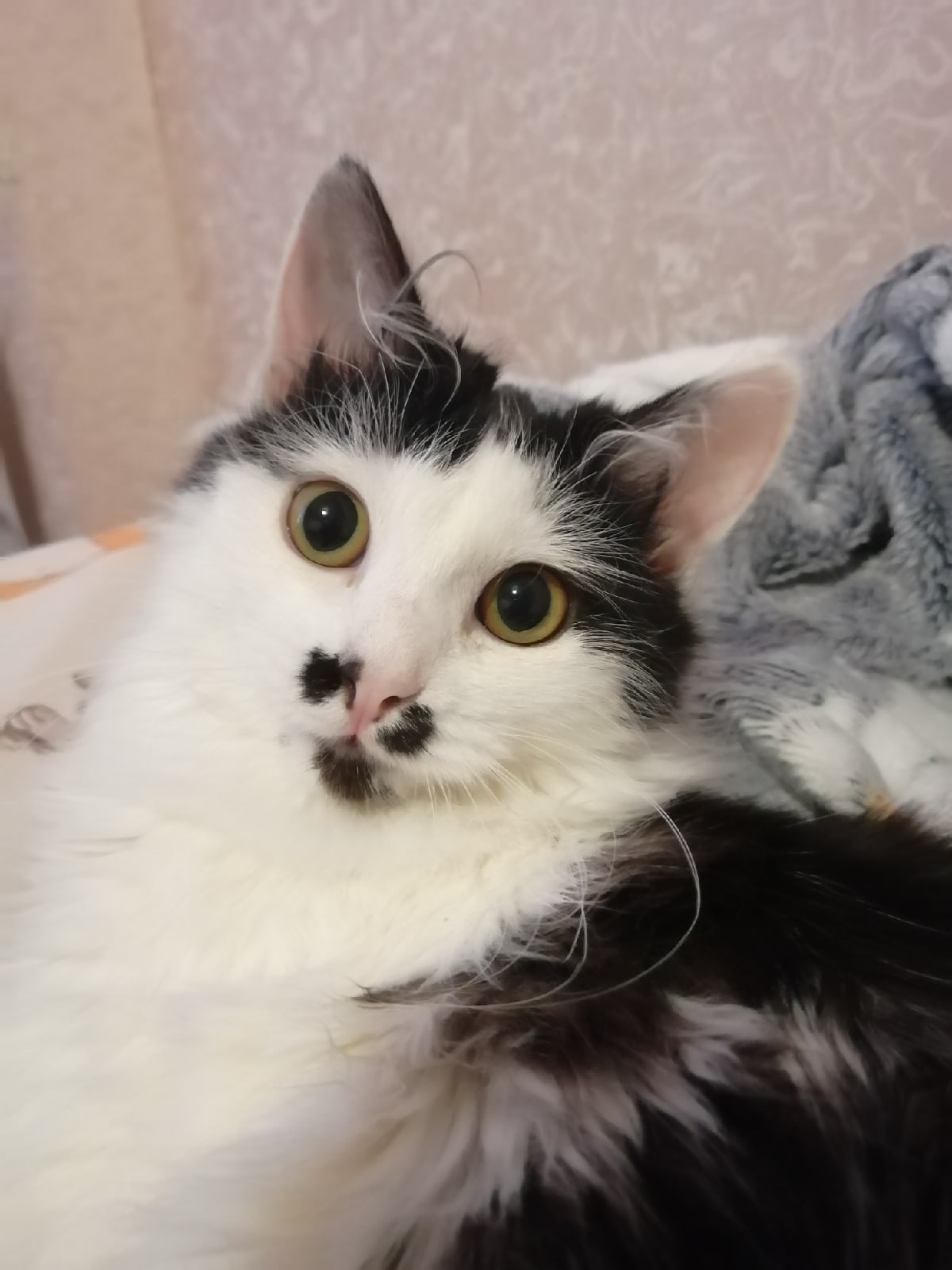 Вы на работу, а мне опять одной куковать