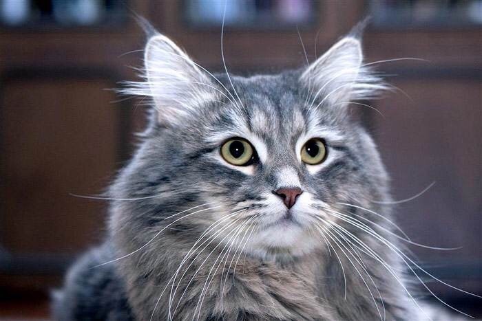 Скучно дома сидеть, может на природу рванём