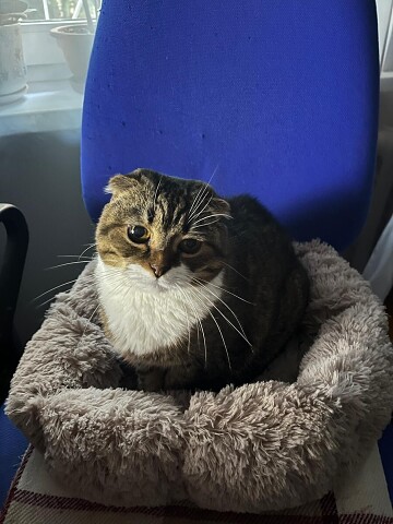 Что - то не спится