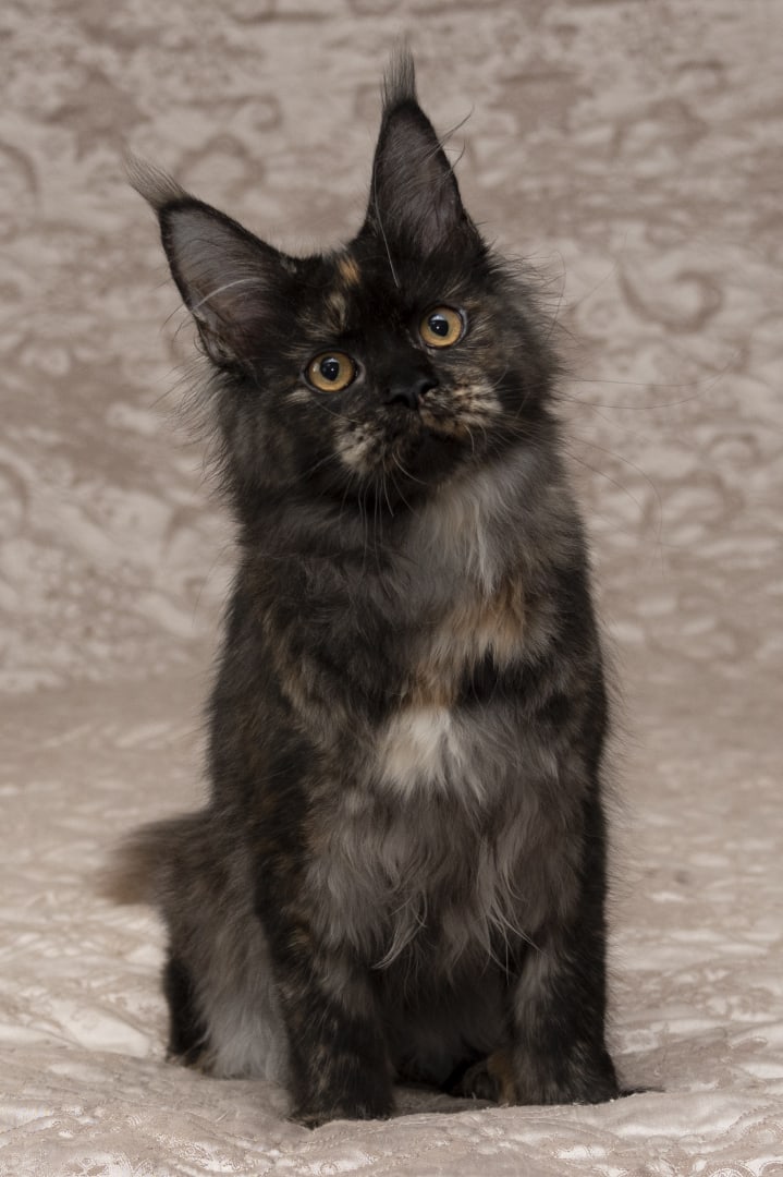 Вы как всегда на работу, а я кровать сторожить