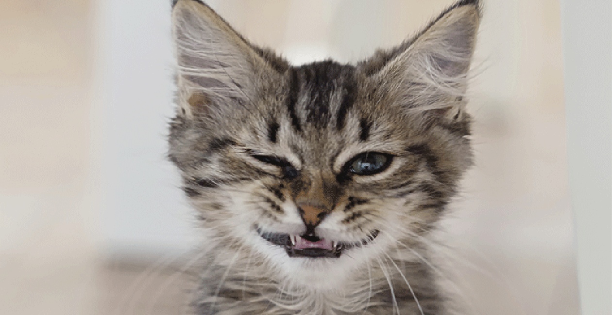 Идите на работу, я найду чем мне заняться