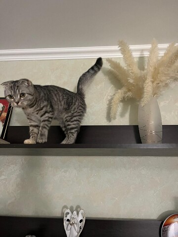 Сегодня тренировка по прыжкам с высоты