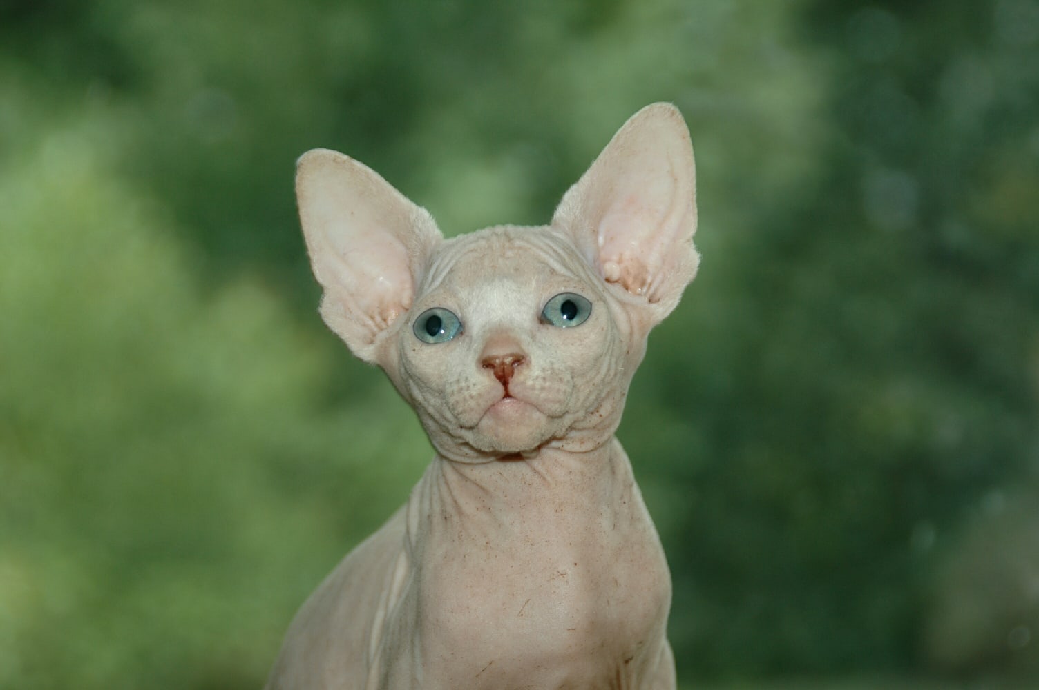 Люблю выходные, можно на природе погулять