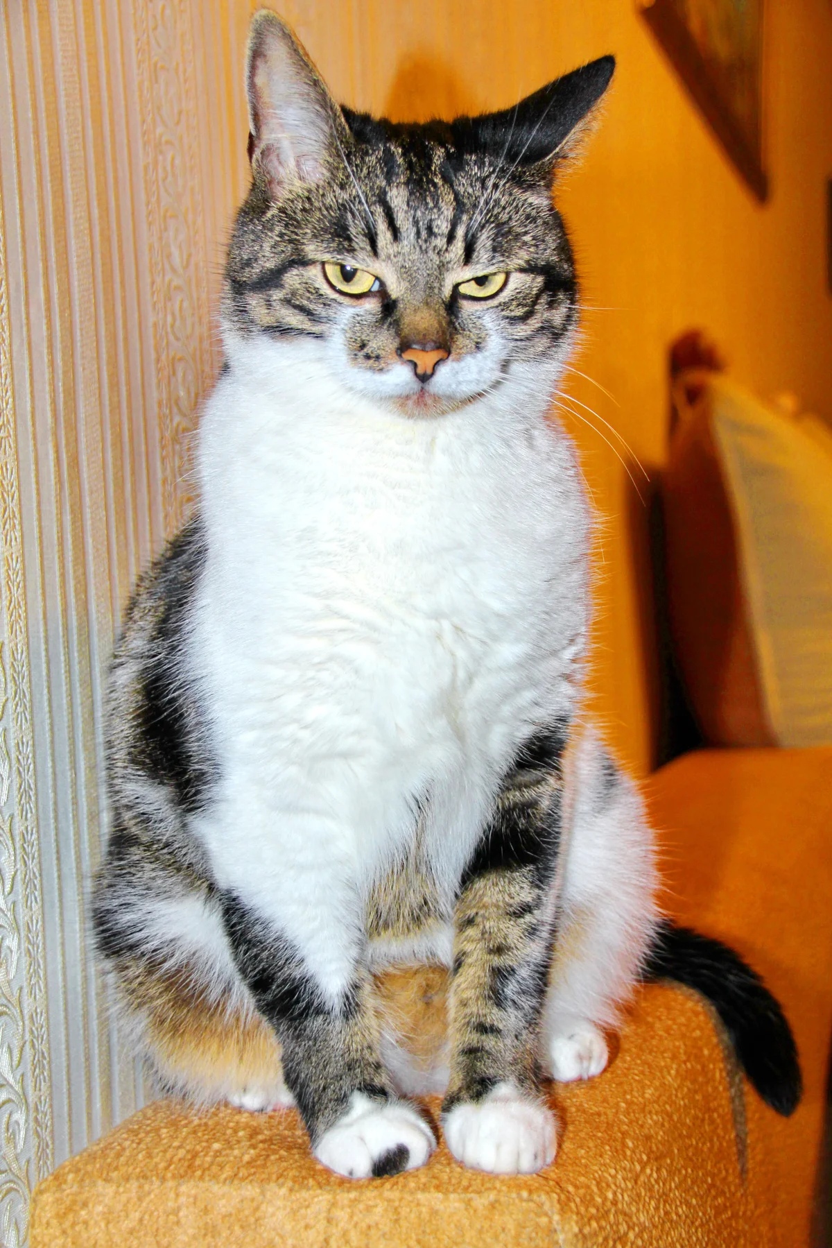 Вы мне не рассказывайте, как себя вести, я сам знаю