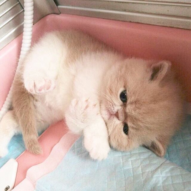 Уйдите, дайте поспать