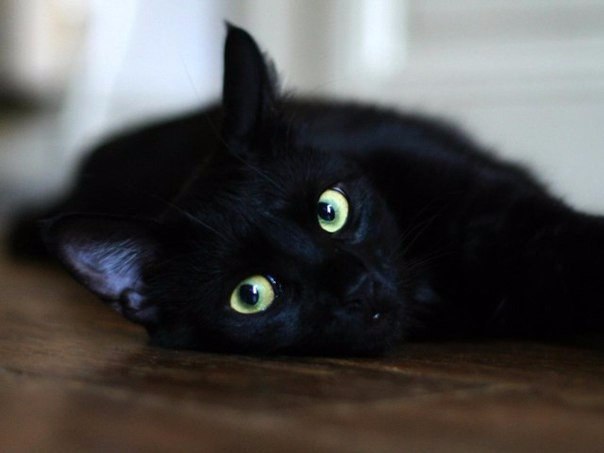 Надеюсь, на меня никто не наступит