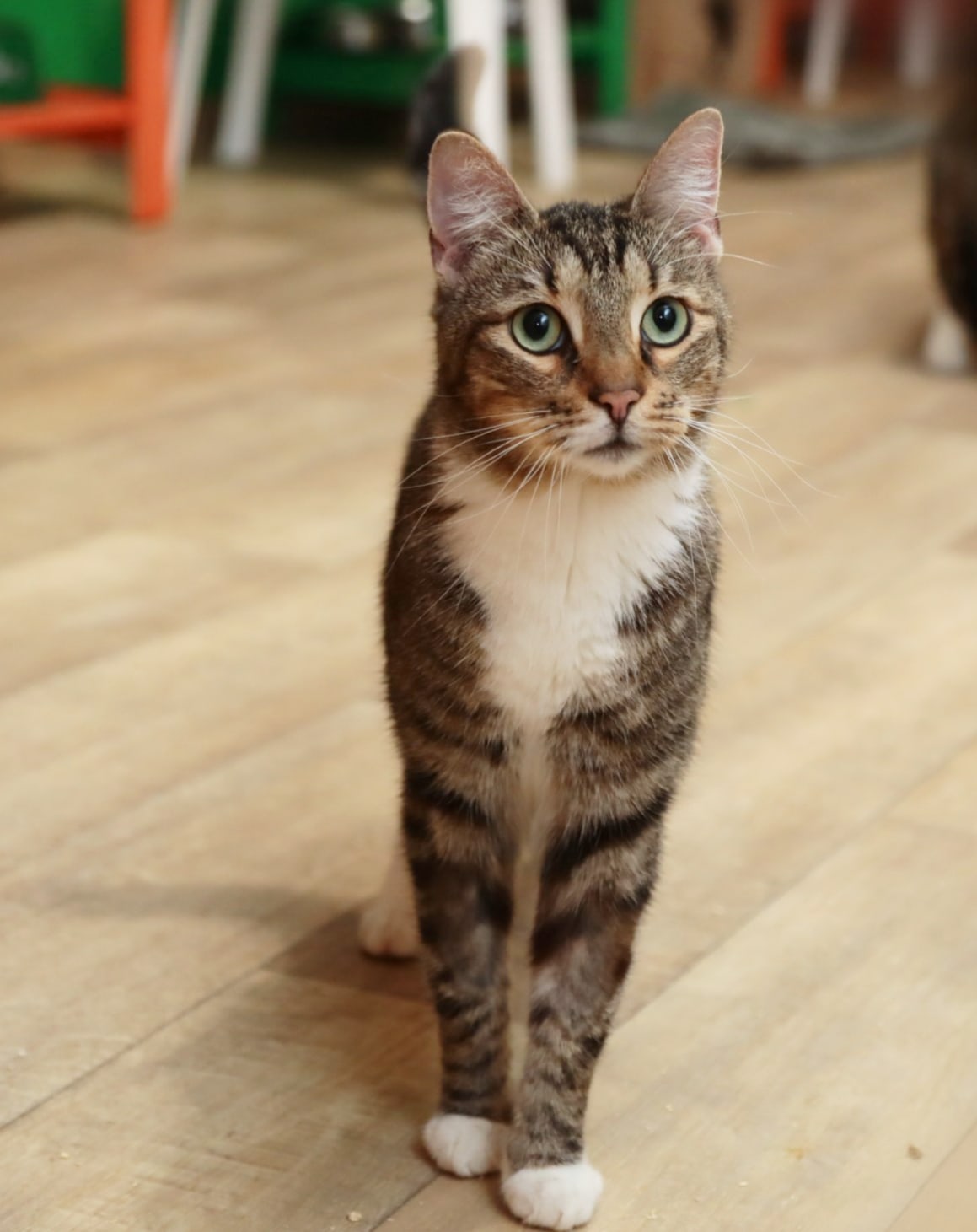 Что вкусненького на ужин принесли