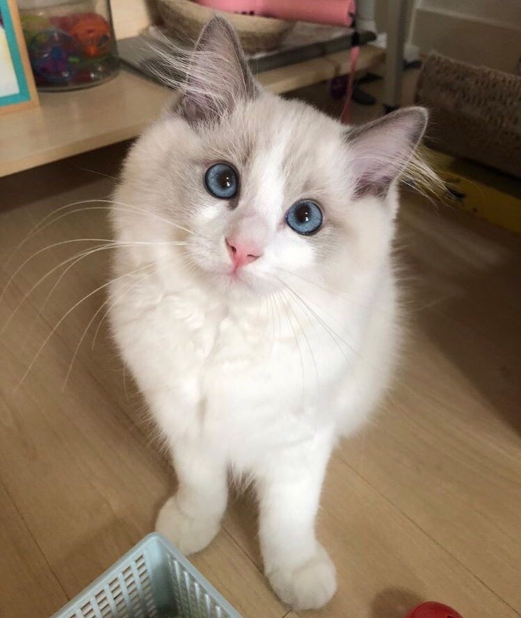 А когда ужинать будем