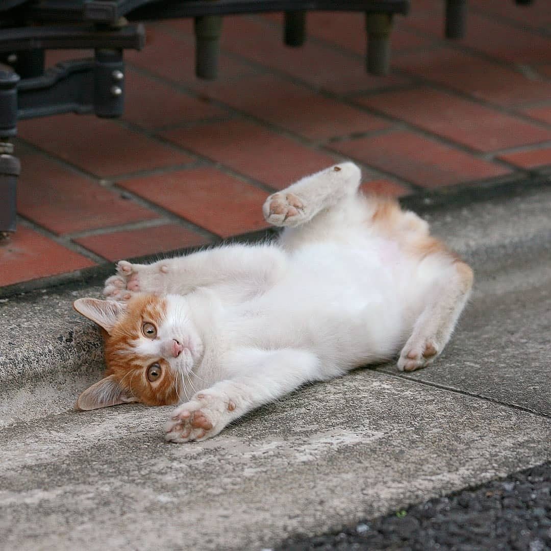 И не уговаривайте, домой не пойду, я только вышел