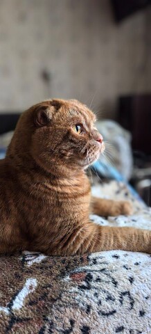 Планы на день- поесть, поспать и всё повторить