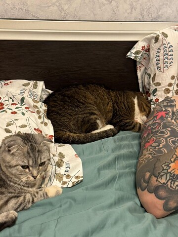 Девки на месте, одна уже спит