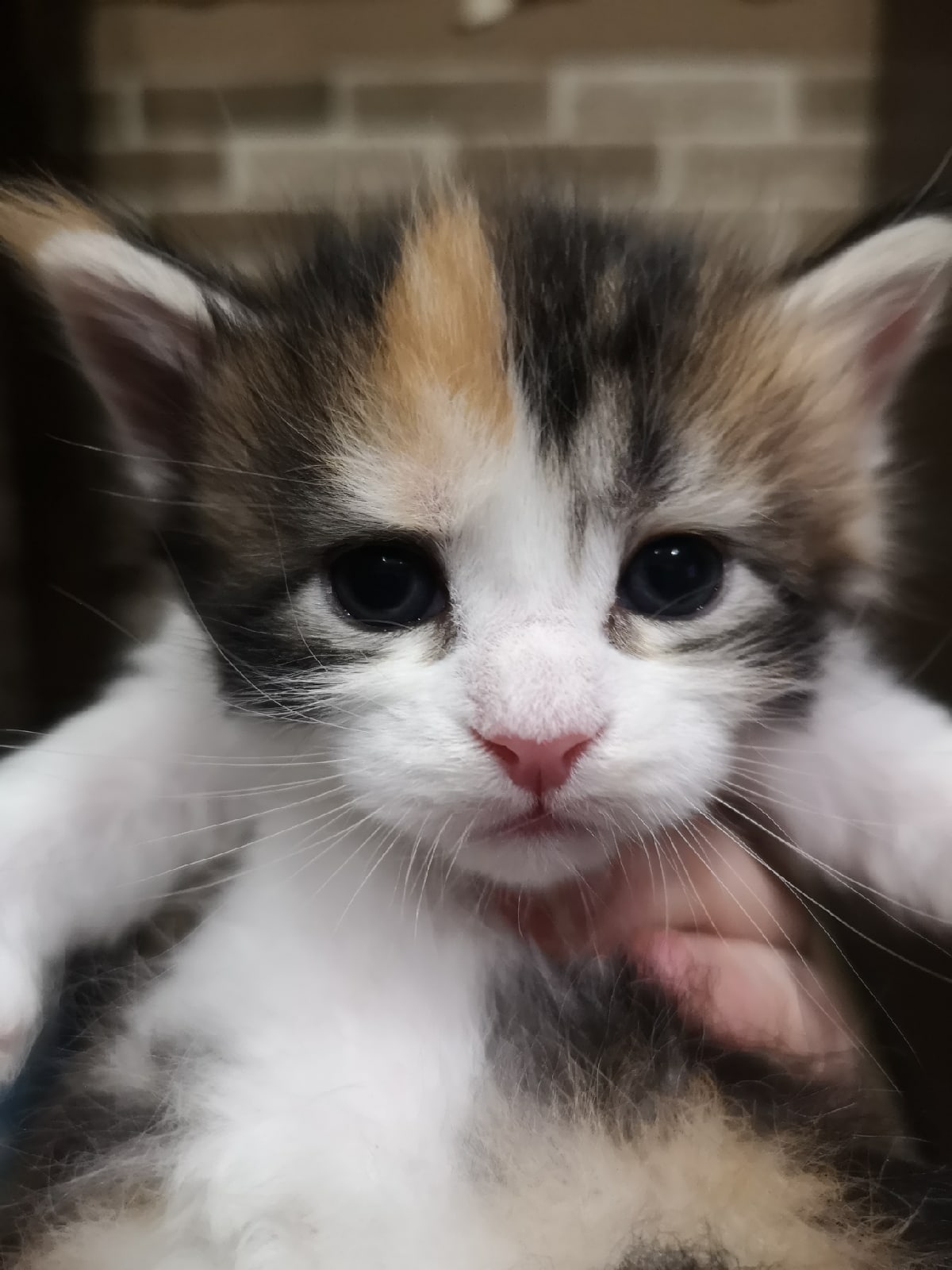 Хочу поближе познакомиться