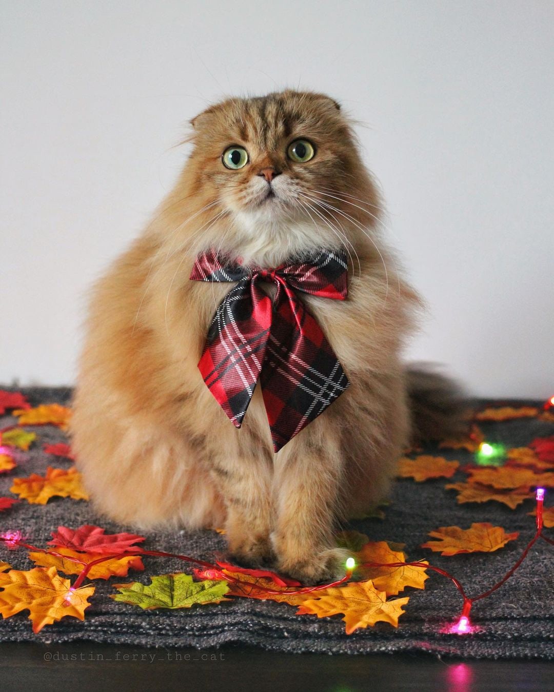 Скоро осень, пора готовиться