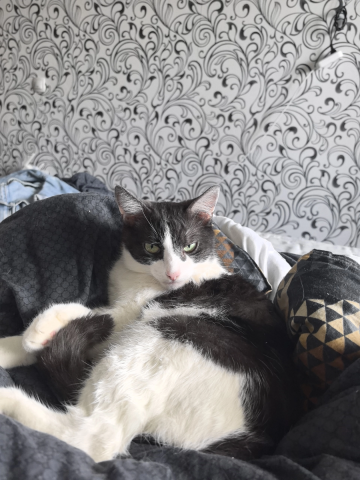 Кому не спится в обед, другим не мешайте