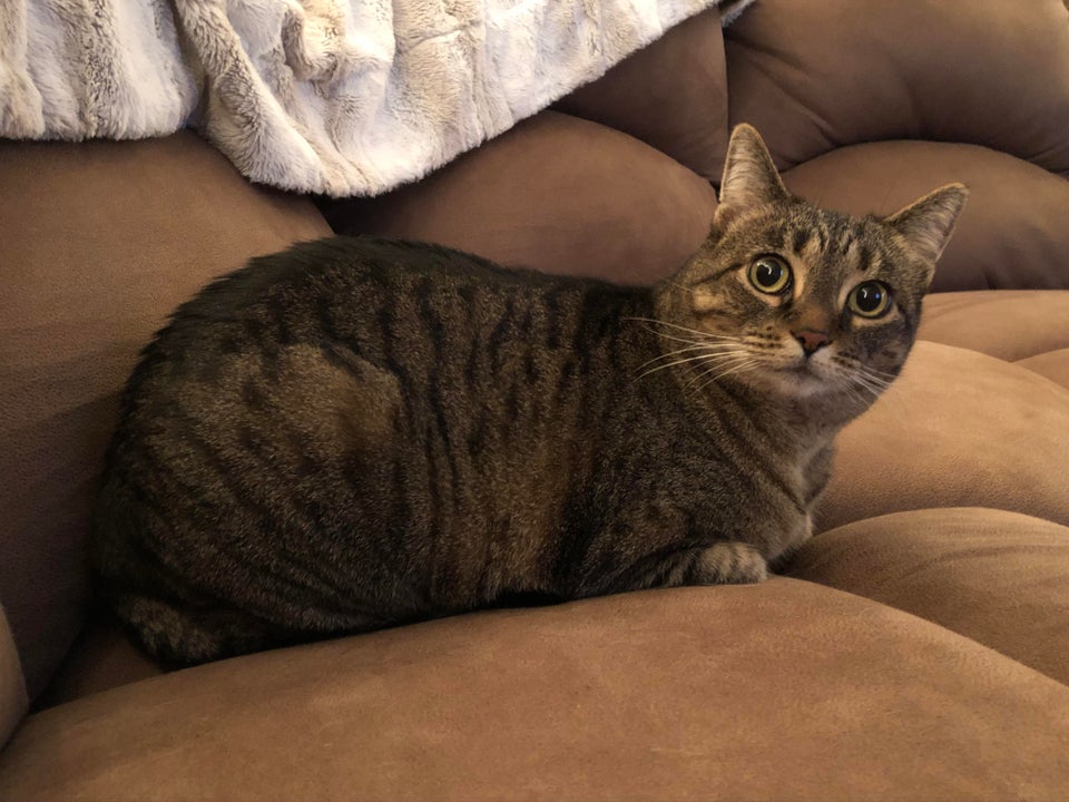 Вы так рано вернулись, а я вас и не ждал