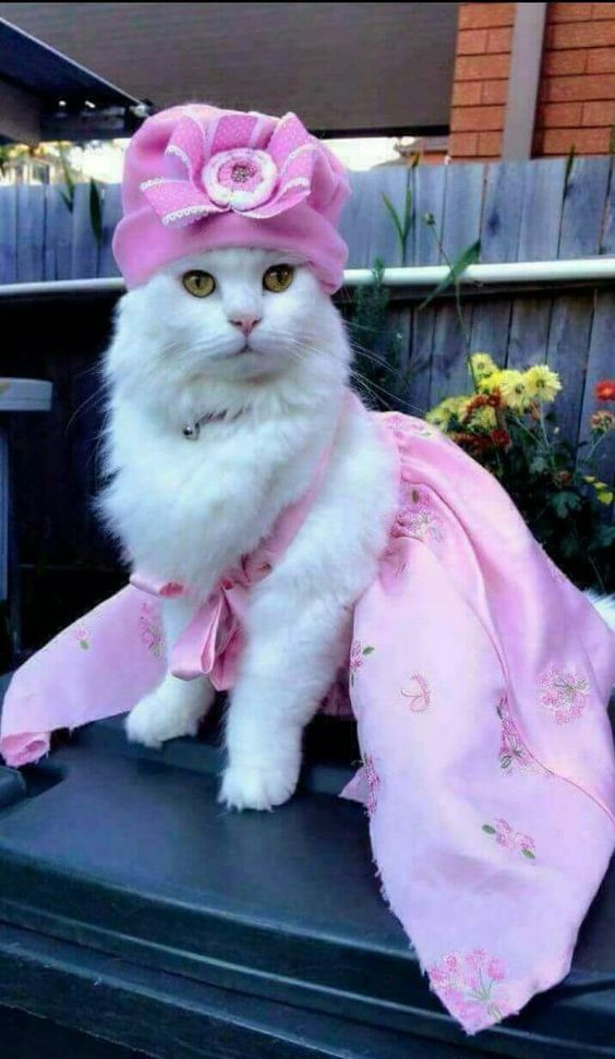 У кого -то будни, а у меня праздник каждый день