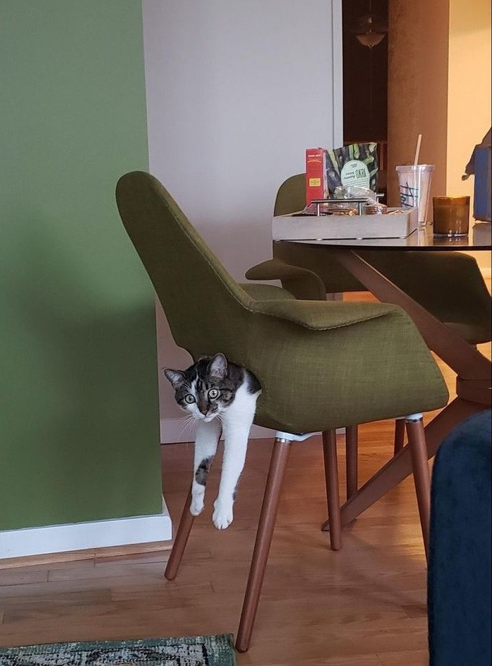 Вот это, я объелся