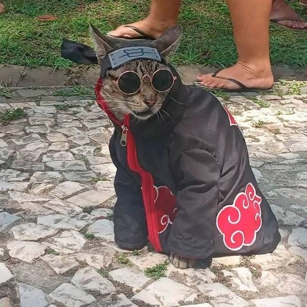 Приехал с севера на юг, не успел переодеться