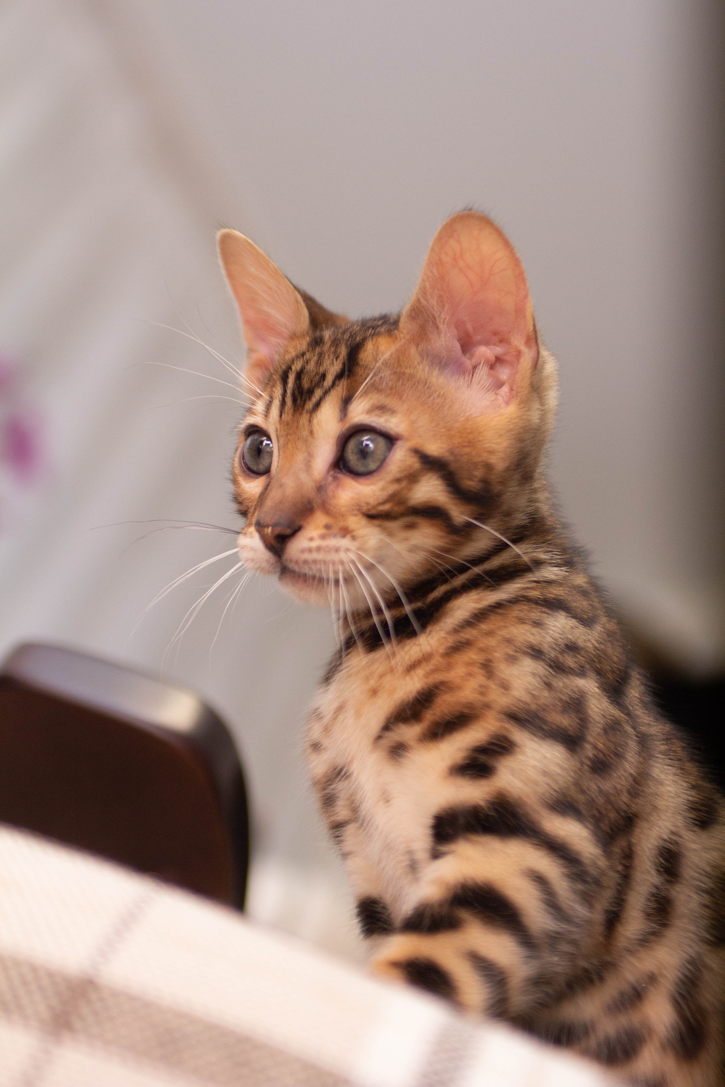 Что вы тут делаете, почему меня не позвали на помощь