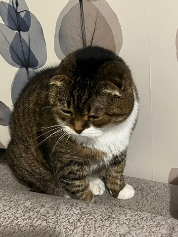 То ли поспала, то ли с закрытыми глазами полежала