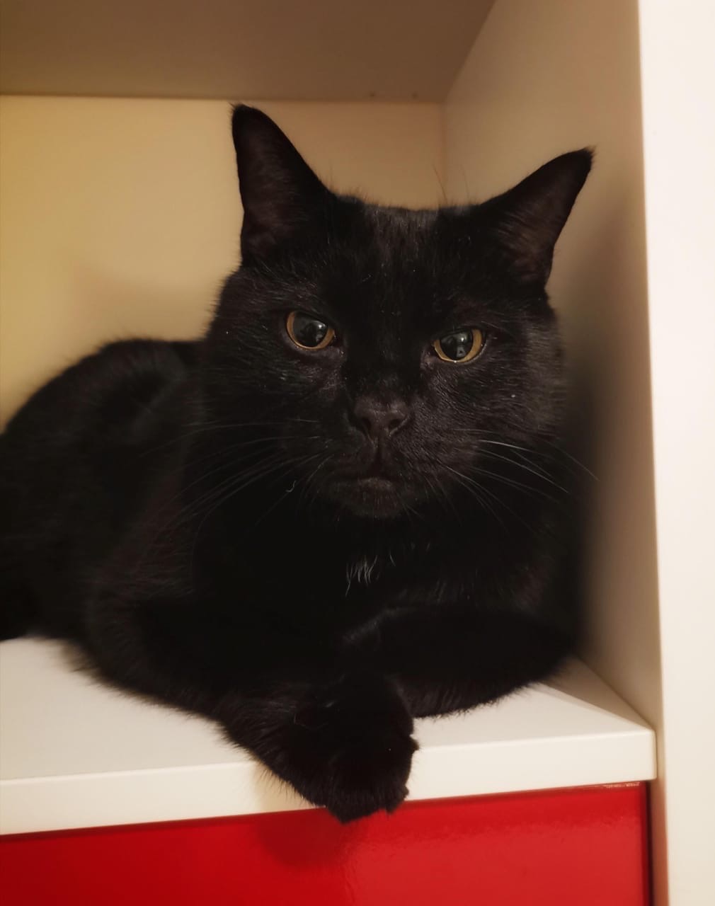 Эту полочку больше не занимайте, она моя