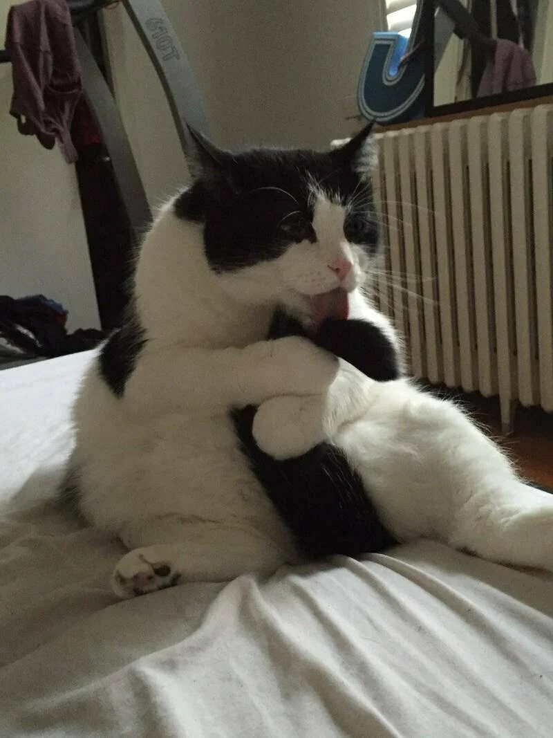 Наконец - то, я тебя поймал, теперь чистый будешь