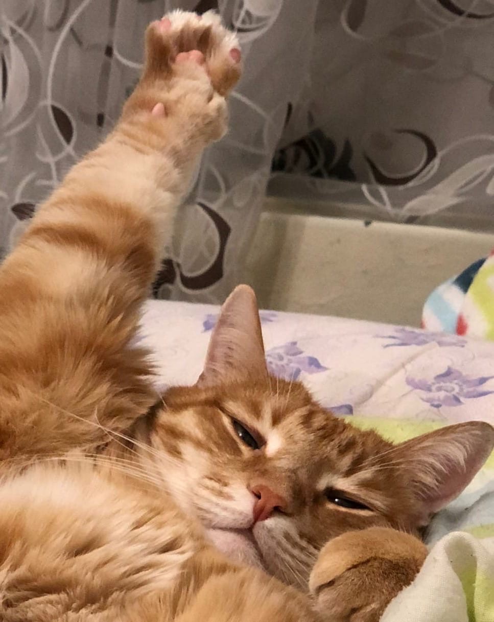 Внимание, я просыпаюсь