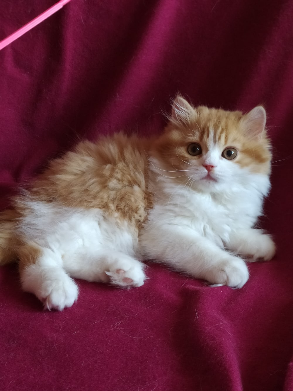 Чтобы я не похудел, возвращайтесь с работы скорей