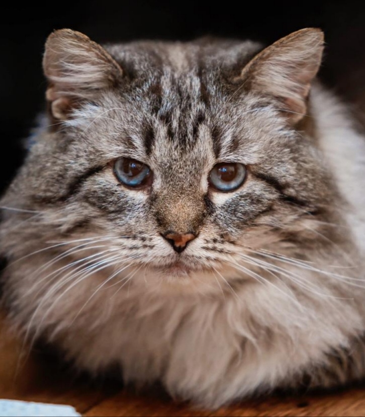 Всё, до весны мне на улице делать нечего